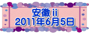 安徽ⅱ 2011年6月5日