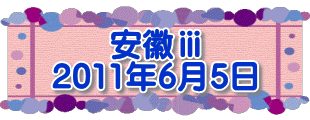 安徽ⅲ 2011年6月5日