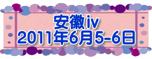 安徽ⅳ 2011年6月5-6日