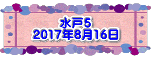 水戸5 2017年8月16日