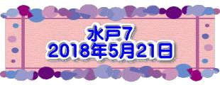 水戸5 2017年8月16日