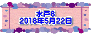 水戸5 2017年8月16日