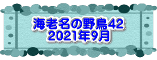 水戸2 2016年10月23～24日