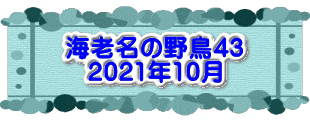 水戸2 2016年10月23～24日