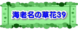 水戸2 2016年10月23～24日