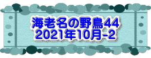 水戸2 2016年10月23～24日