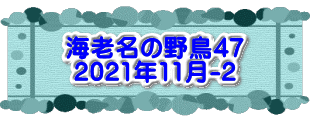 水戸2 2016年10月23～24日