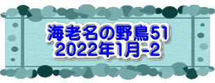 水戸2 2016年10月23～24日