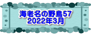 水戸2 2016年10月23～24日