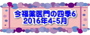 水戸2 2016年10月23～24日