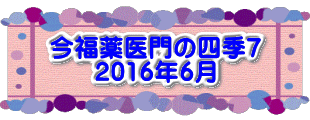 水戸2 2016年10月23～24日