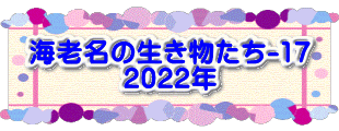 水戸2 2016年10月23～24日