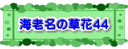 水戸2 2016年10月23～24日