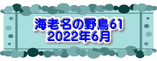 水戸2 2016年10月23～24日