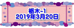 水戸2 2016年10月23～24日