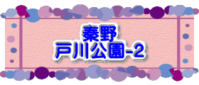 水戸2 2016年10月23～24日