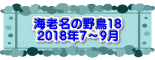 水戸2 2016年10月23～24日