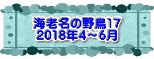 水戸2 2016年10月23～24日