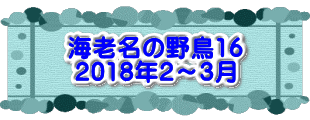 水戸2 2016年10月23～24日