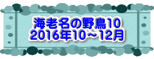 水戸2 2016年10月23～24日