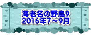 水戸2 2016年10月23～24日