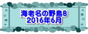 水戸2 2016年10月23～24日