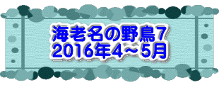 水戸2 2016年10月23～24日