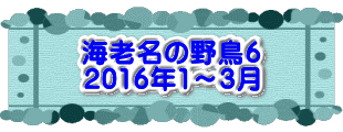 水戸2 2016年10月23～24日