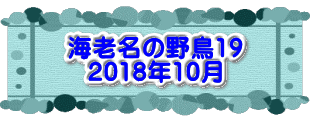 水戸2 2016年10月23～24日