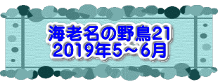 水戸2 2016年10月23～24日