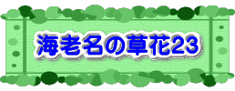 水戸2 2016年10月23～24日