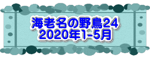 水戸2 2016年10月23～24日