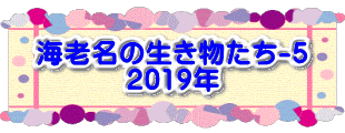 水戸2 2016年10月23～24日