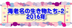 水戸2 2016年10月23～24日