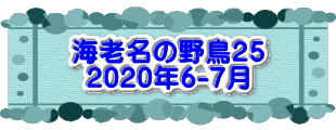 水戸2 2016年10月23～24日