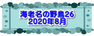 水戸2 2016年10月23～24日