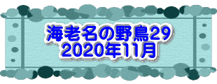 水戸2 2016年10月23～24日