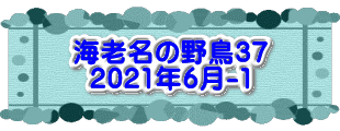 水戸2 2016年10月23～24日