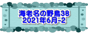 水戸2 2016年10月23～24日