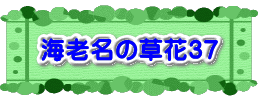 水戸2 2016年10月23～24日